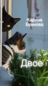 Обложка книги Двое