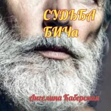 Обложка книги Судьба БИЧа
