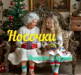 Обложка книги Носочки