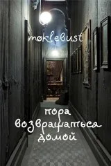 Обложка книги Пора возвращаться домой