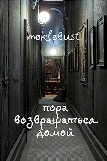 Обложка книги Пора возвращаться домой