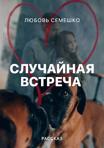Обложка книги Случайная встреча