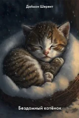 Обложка книги Бездомный котёнок