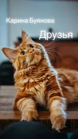 Обложка книги Друзья