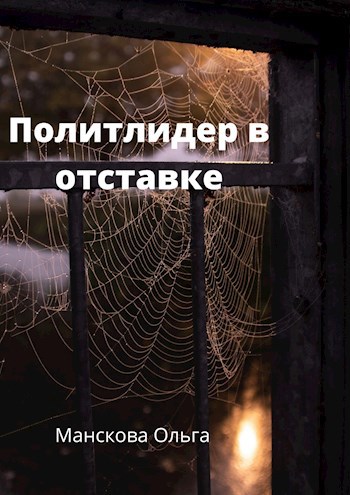 Обложка книги Политлидер в отставке
