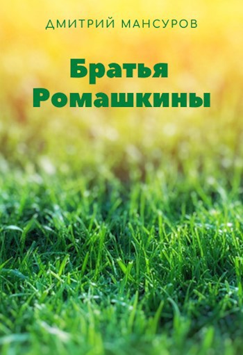 Обложка книги Братья Ромашкины