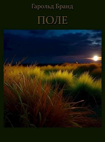 Обложка книги Поле