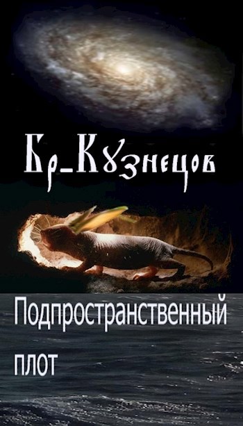 Обложка книги Подпространственный плот