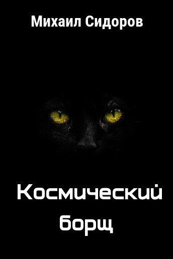 Обложка книги Космический борщ