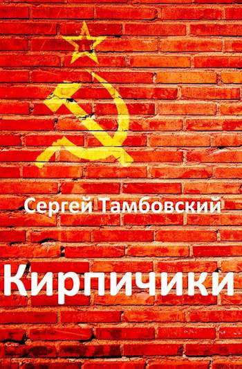 Обложка книги Кирпичики