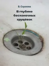 Обложка книги В глубине бесконечных хрущёвок