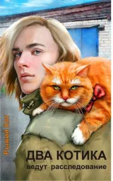 Обложка книги Два котика