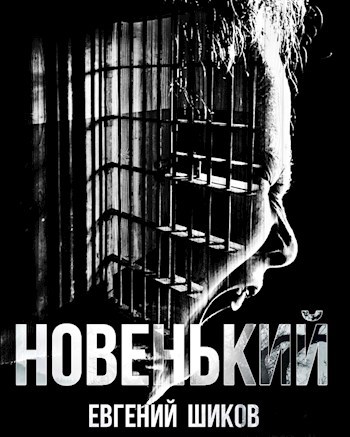 Обложка книги Новенький