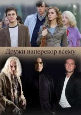 Обложка книги Дружи наперекор всему