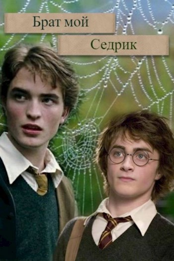 Обложка книги Брат мой Седрик