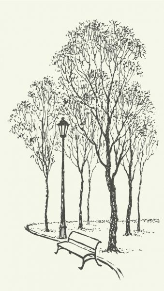 Обложка книги В парке