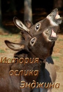Обложка книги История ослика Энджина