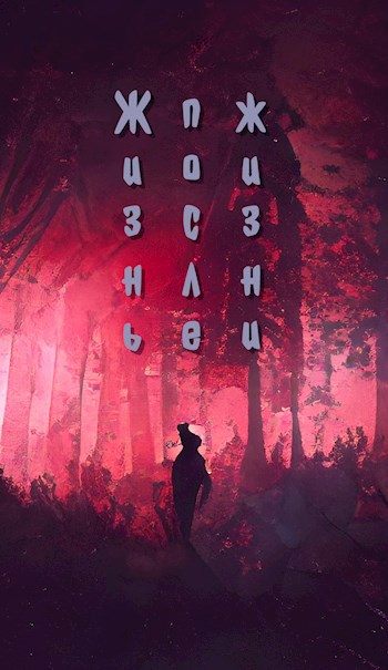 Обложка книги Жизнь после жизни