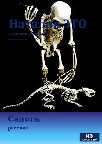 Обложка книги Сапоги