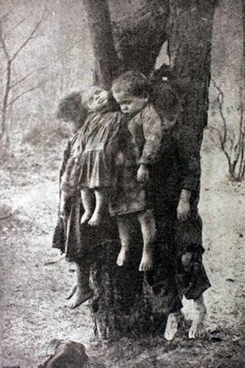 Обложка книги Волынская резня 1943 года – на ком кровь десятков тысяч поляков?