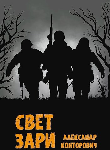 Обложка книги "Свет зари"