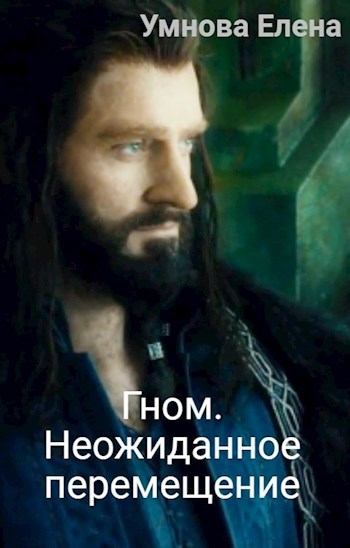 Обложка книги Гном. Неожиданное перемещение