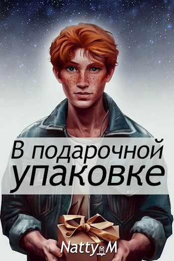 Обложка книги В подарочной упаковке
