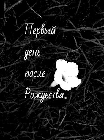 Обложка книги Первый день после Рождества...