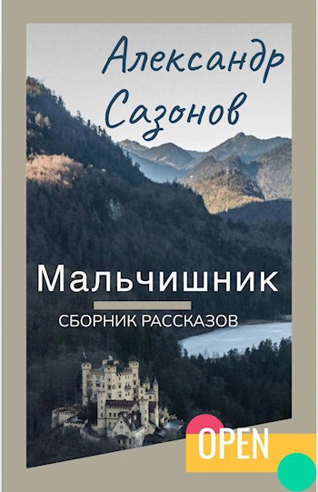 Обложка книги Мальчишник