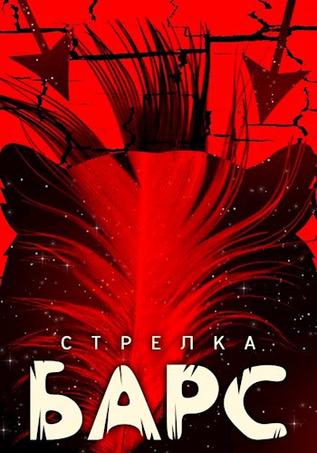 Обложка книги Барс