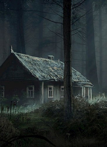 Обложка книги Ящик с её костями