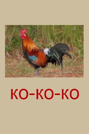 Обложка книги Ко-ко-ко