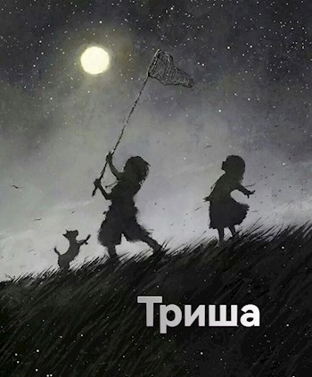 Обложка книги Триша