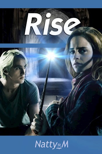 Обложка книги Rise