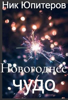Обложка книги Новогоднее чудо