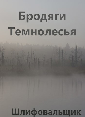 Обложка книги Бродяги Темнолесья