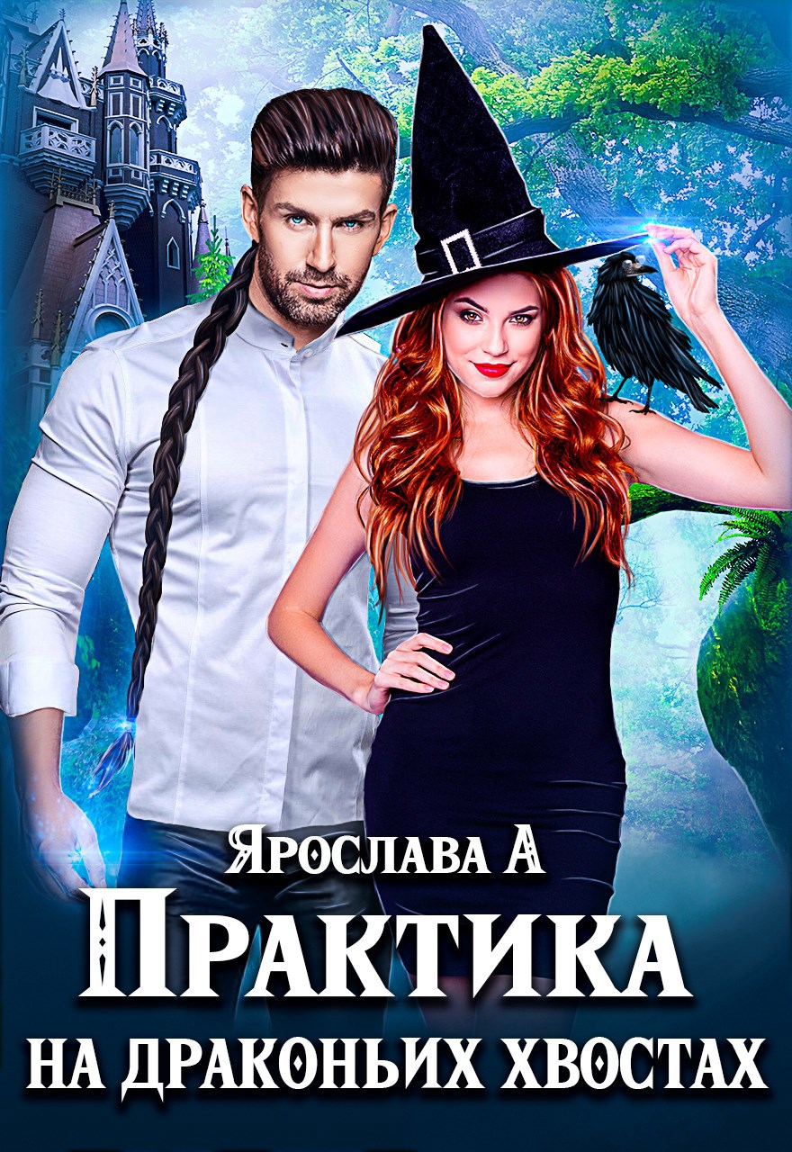 Обложка книги Практика на драконьих хвостах