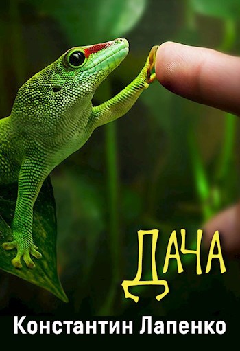 Обложка книги Дача