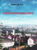 Обложка книги Fate/Unlimited Dragons World