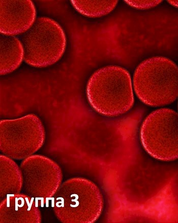 Обложка книги Группа 3
