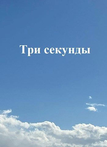 Обложка книги Три секунды