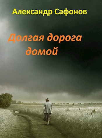 Обложка книги Долгая дорога домой