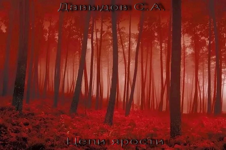 Обложка книги Цепи Ярости