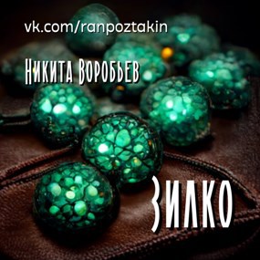 Обложка книги Зилко