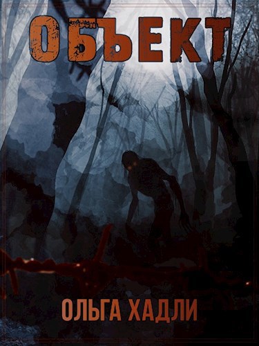 Обложка книги Объект