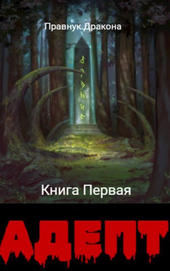 Обложка книги Адепт: Рыцари и мёртвые драконы