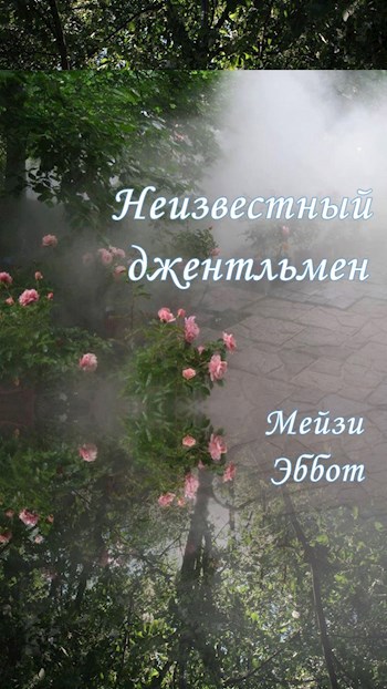 Обложка книги Неизвестный джентльмен
