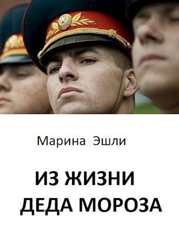Обложка книги Из жизни Деда Мороза