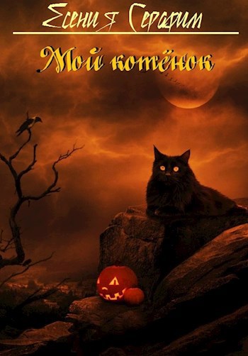 Обложка книги Мой котёнок