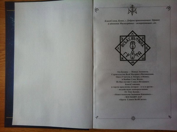 Обложка книги Язык Богов. 2. Обоюдоострый меч